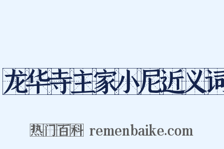 龙华寺主家小尼近义词是什么意思的图片